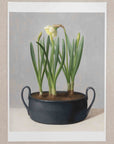 "Daffodil Black Pot" Fine Art Print