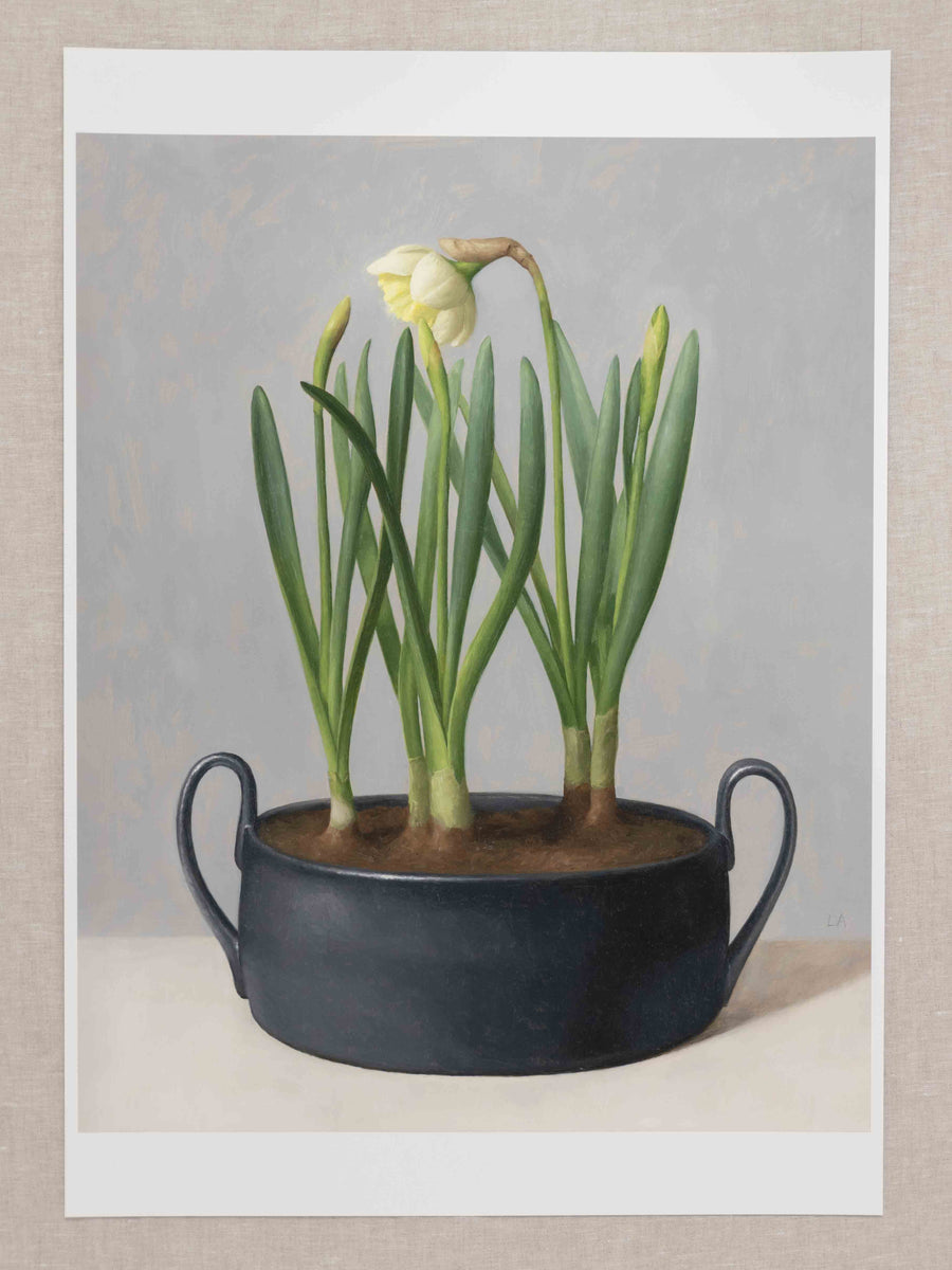 "Daffodil Black Pot" Fine Art Print