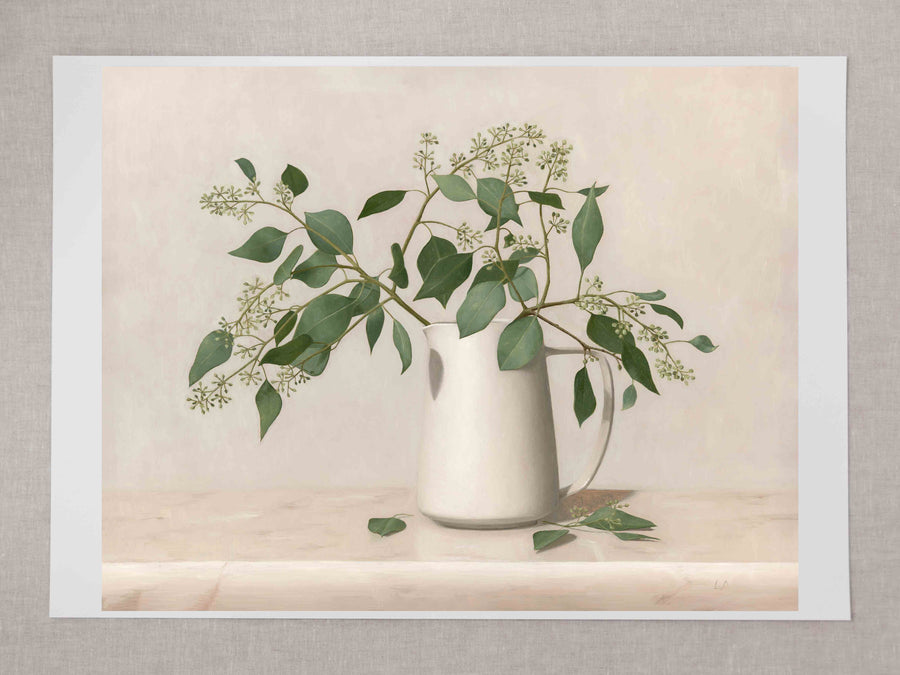 "Eucalyptus in White Jug" Fine Art Print